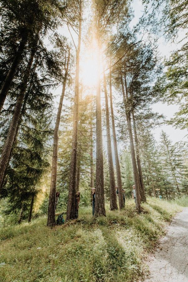 Der Loeffler Am Semmering Bed&Breakfast ภายนอก รูปภาพ
