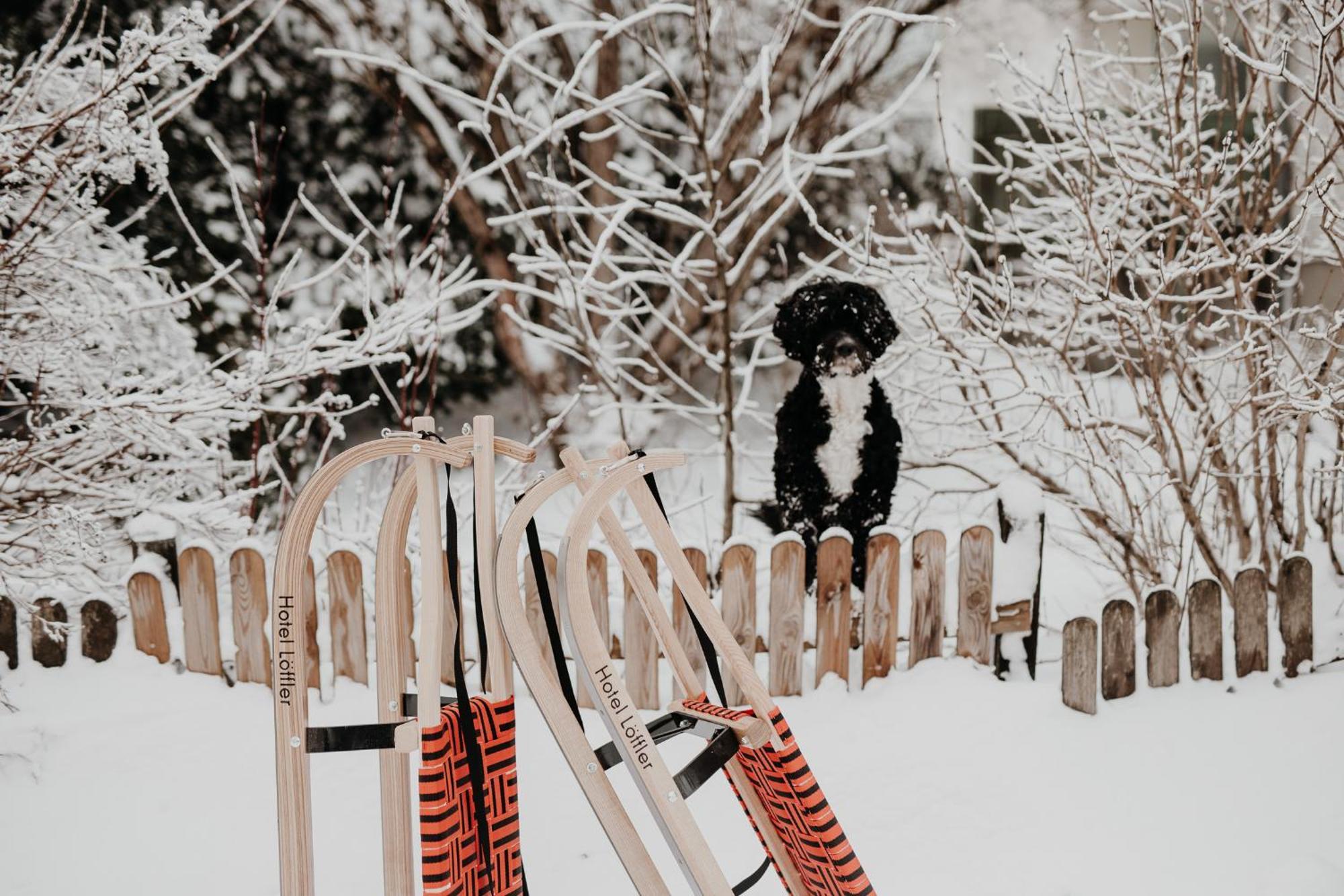 Der Loeffler Am Semmering Bed&Breakfast ภายนอก รูปภาพ