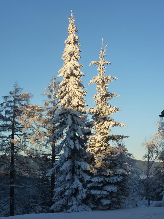 Der Loeffler Am Semmering Bed&Breakfast ภายนอก รูปภาพ