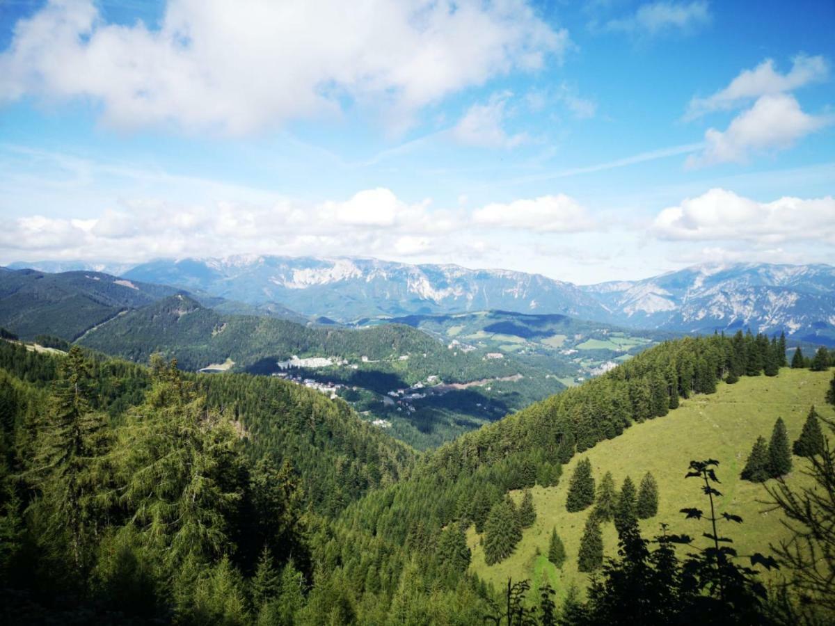 Der Loeffler Am Semmering Bed&Breakfast ภายนอก รูปภาพ